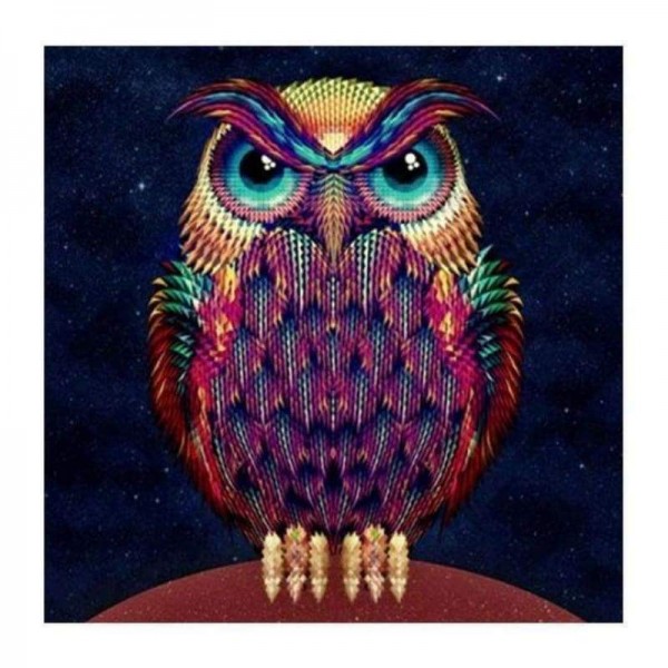 Volledige boor - 5D DIY Diamond Painting Kits Mooie cartoon kleurrijke uil