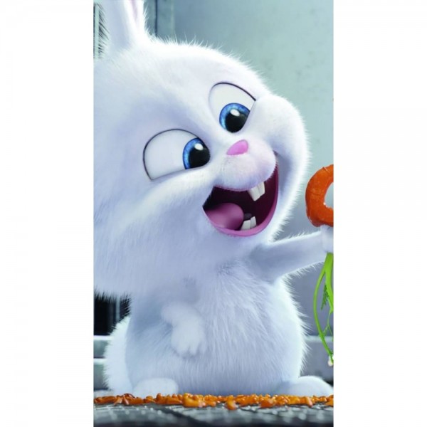 DIY Diamant Schilderij - Cartoon PIX-3165