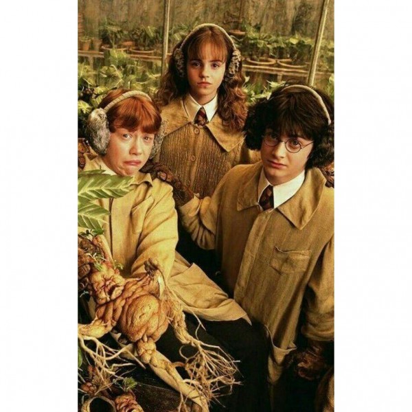 DIY diamant schilderij - Cartoon PIX-3236