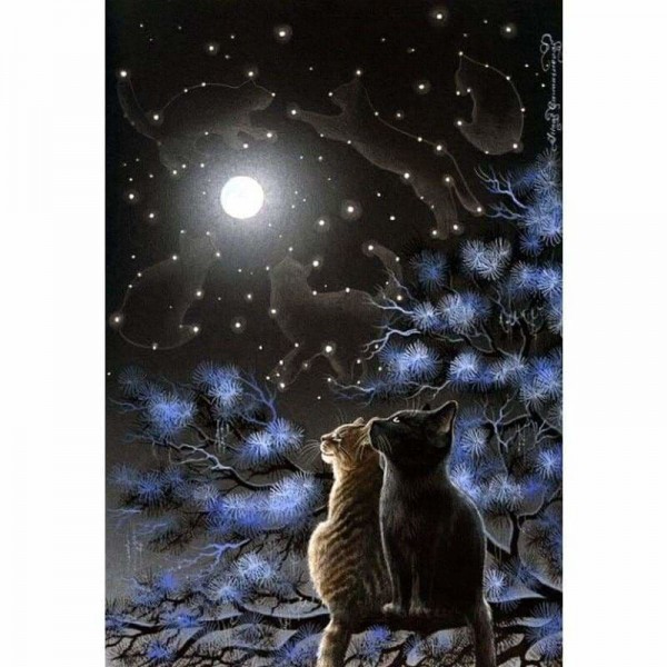 Volledige boor - 5D DIY Diamond Painting Kits Dream Moon Starry Night Cats om the Branches