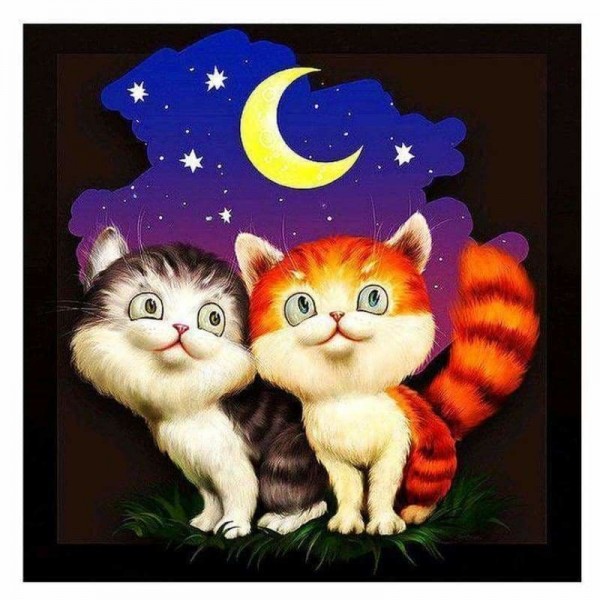 Volledige boor - 5D Diamond Painting Kits Cartoon schattige katten kijken naar de maan