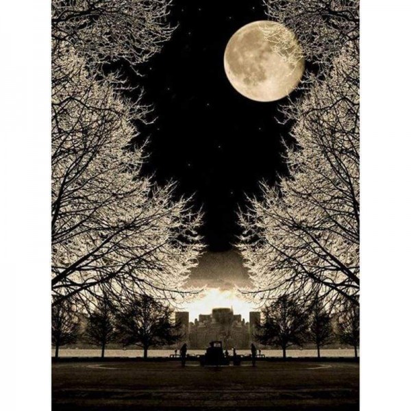 Volledige boor - 5D DIY Diamond Painting Kits Landschap Winter Maan