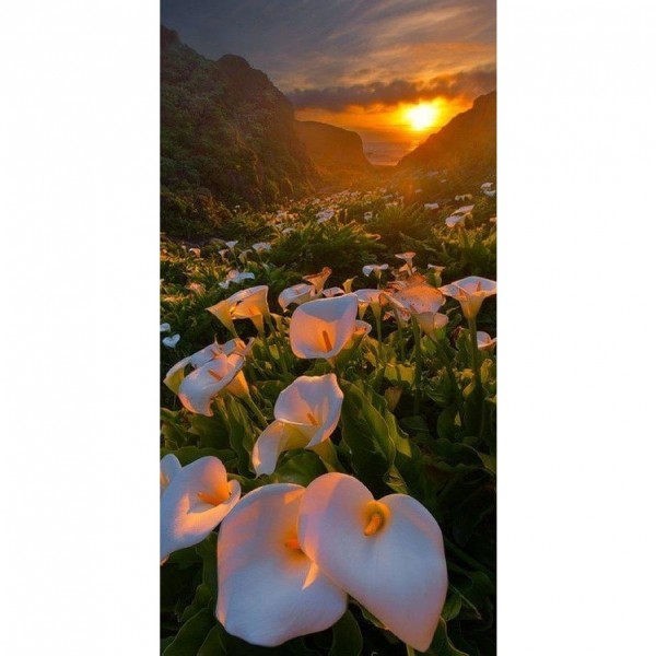 DIY Diamond Painting - Landschappen PIX-2130