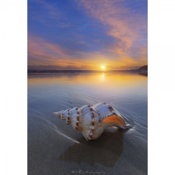 DIY Diamond Painting - Landschappen PIX-2163