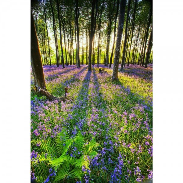 DIY Diamond Painting - Landschappen PIX-2255