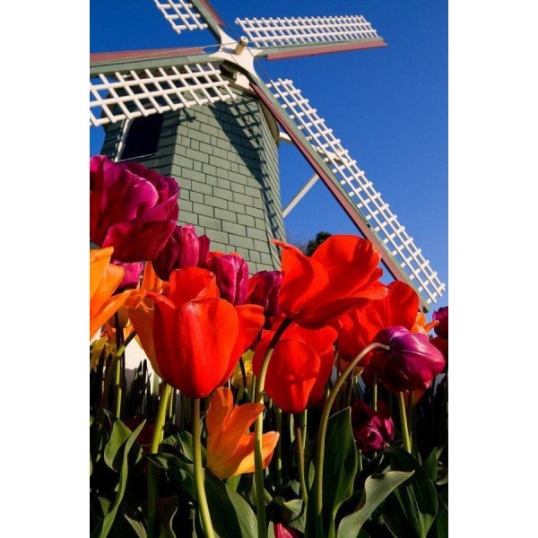 DIY Diamond Painting - Landschappen PIX-2180