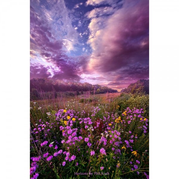 DIY Diamond Painting - Landschappen PIX-2254