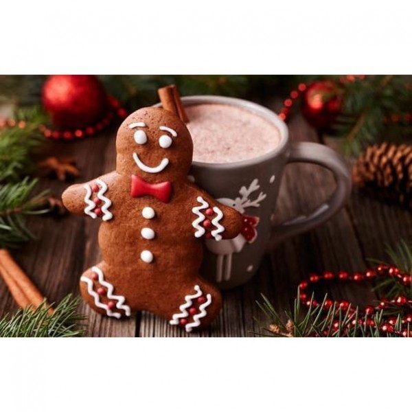 DIY Diamond Painting - Kerstmis PIX-1114