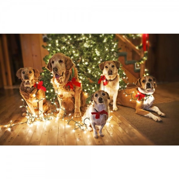 DIY Diamond Painting - Kerst PIX-916