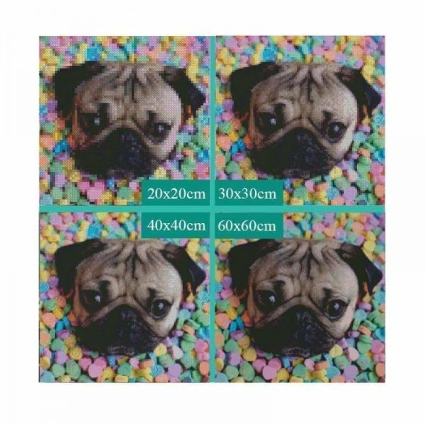 Volledige boor - 5D DIY Diamond Painting Kits Funny Cute Dog Candy