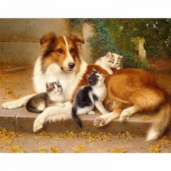 Hond en katten-Volledige boor diamant schilderij-