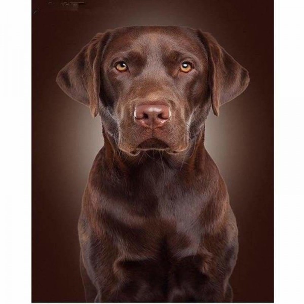 Volledige boor - 5D DIY Diamond Painting Kits Pet Cute Black Dog