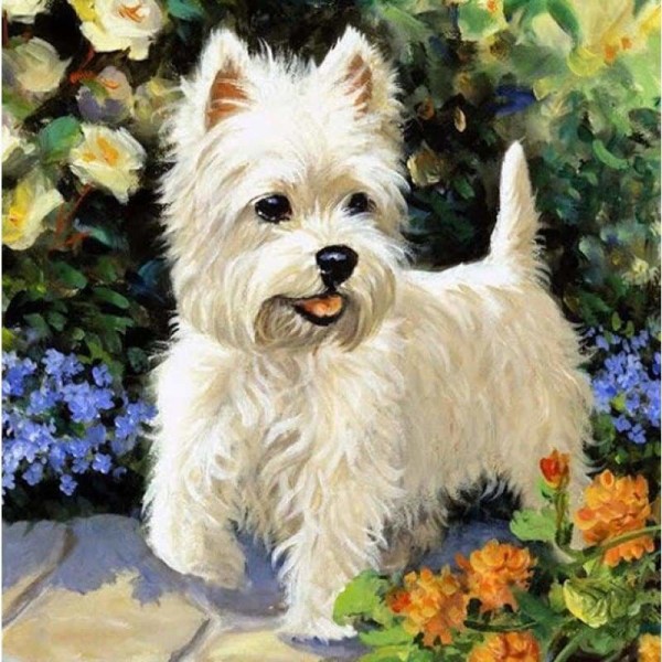 Wit hondje tussen de bloemen