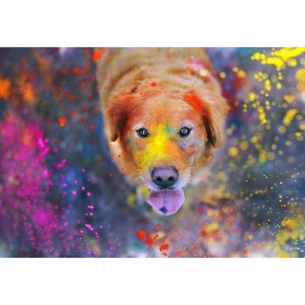 Kleurrijke verf hond - volledige boor diamant schilderij -