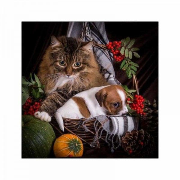 Volledige boor - 5D DIY Diamond Painting Kits Pet Cat Dog