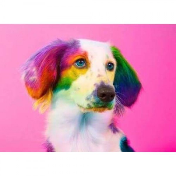 Kleurrijke hond 03- volledige boor diamant schilderij-
