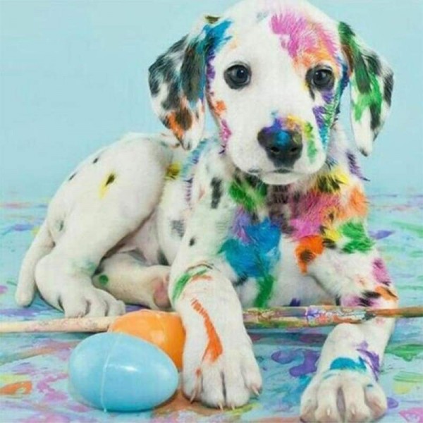 Nieuwe Hot Koop Kleurrijke Hond Muur Decor Volledige Boor - 5D Diy Diamant Schilderij Kits