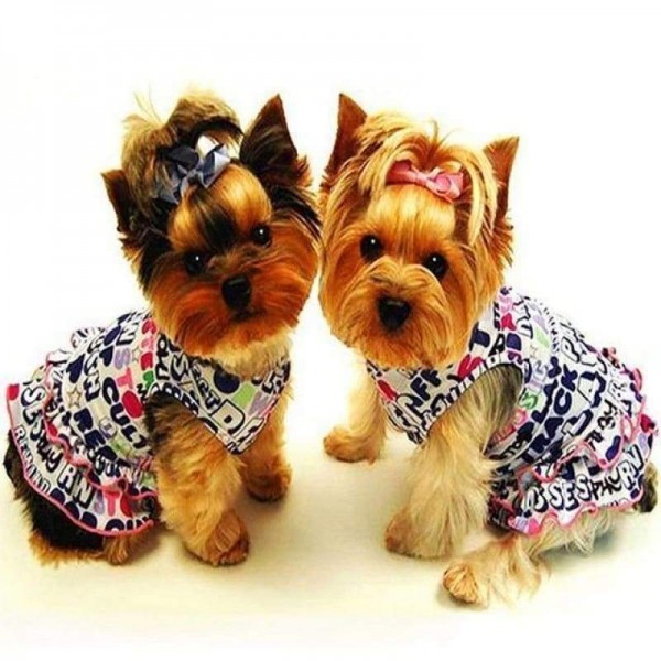 Nieuwe Hot Koop Twee Grappige Volledige Boor-5D Diy Volledige Diamant Schilderij Honden Kits