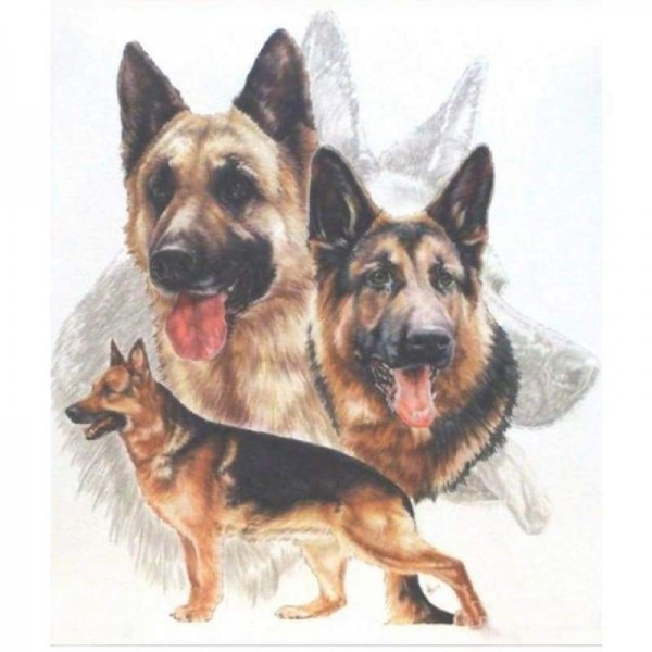 Nieuwe Hot Sale Decorating Dog Picture Full Drill - 5D Diy Diamond Painting Kits