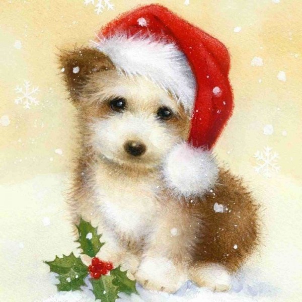 Volledige boor - 5D DIY Diamond Painting Kits Winter schattige hond met kerstmuts