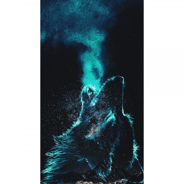 DIY diamant schilderij - Fantasy PIX-2003