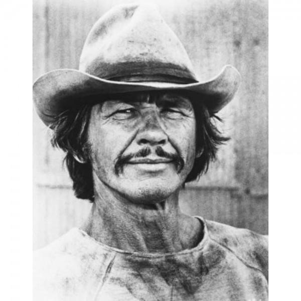 DIY Diamond Painting - Beroemdheid PIX-1587