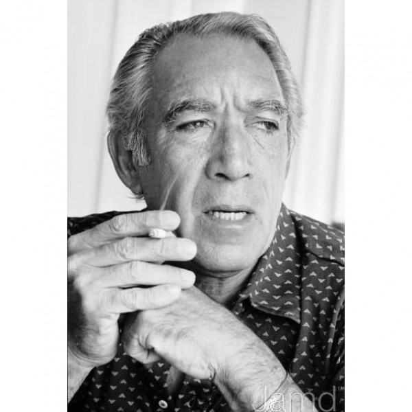 DIY Diamond Painting - Beroemdheid PIX-1724