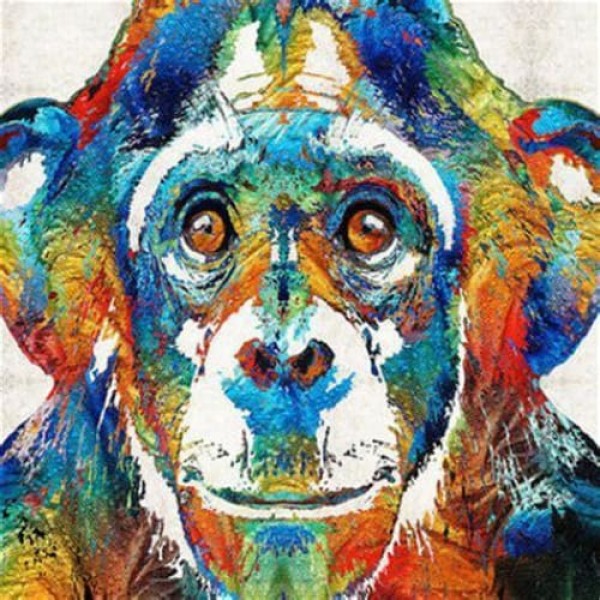 DIY diamant schilderij - chimpansee kleuren PIX-504