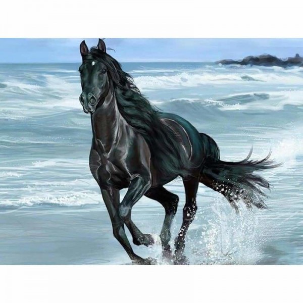 Volledige boor - 5D DIY Diamond Painting Kits Running Black Horse By the Sea