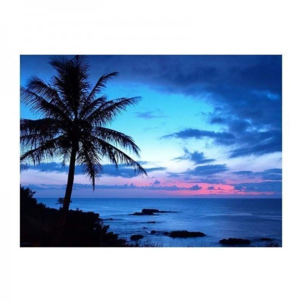 Volledige boor - 5D DIY Diamond Painting Kits Blue Style Sea Night Scene