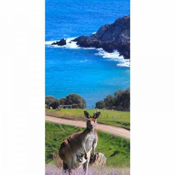 Kangoeroe aan zee landschap - volledige boor diamant schilderij