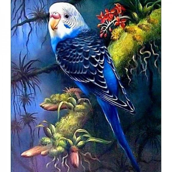 Volledige boor - 5D Diamond Painting Kits Cute Bird Parrot on the Blanch
