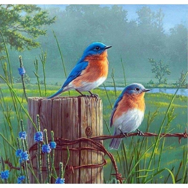 Schattige blauwe vogeltjes