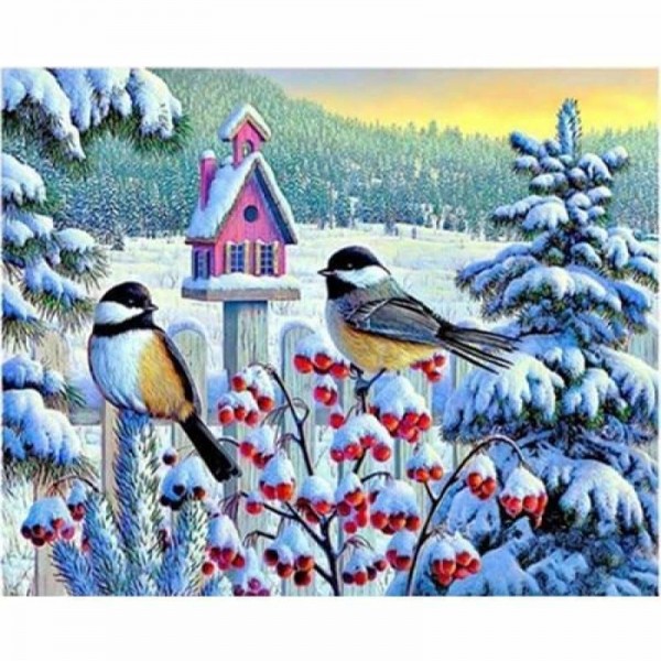 Volledige boor - 5D DIY Diamond Painting Kits Winter Snow Bird Home