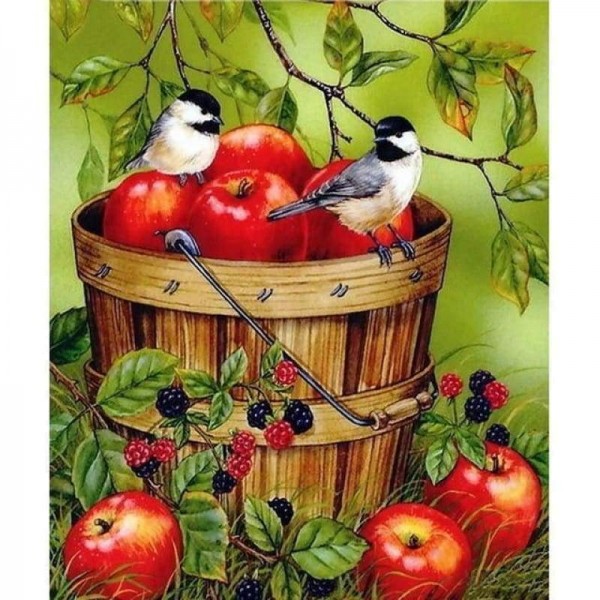 Volledige boor - 5D DIY Diamond Painting Kits Vogels Appels