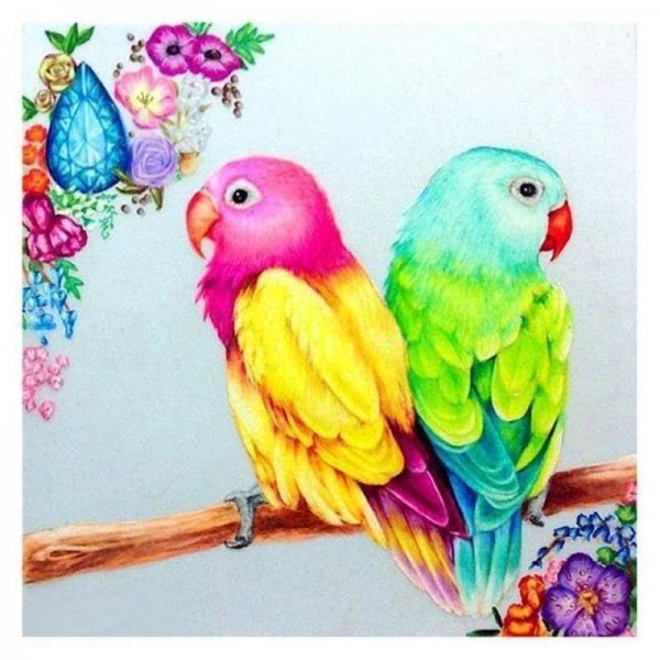 Volledige boor - 5D DIY Diamond Painting Kits Cartoon Birds On Branch