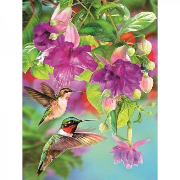 Volledige boor - 5D DIY Diamond Painting Kits Cartoon Hummingbird