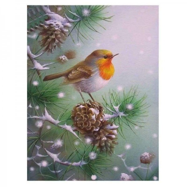 Volledige boor - 5D DIY Diamond Painting Kits Dream Winter Animal Snow Bird