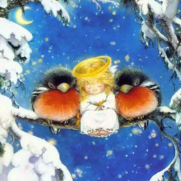 Volledige boor - 5D DIY Diamond Painting Kits Fantasy Winter Canvas Cute Birds Angel Baby