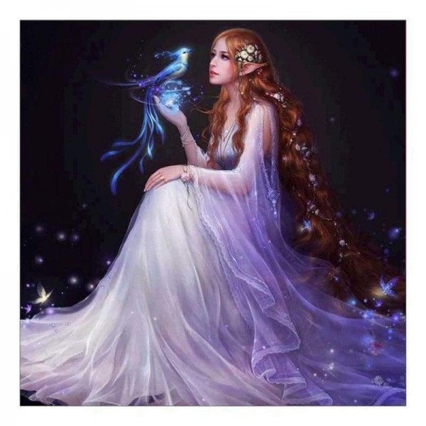 Volledige boor - 5D DIY Diamond Painting Kits Fantasy Beauty And Bird