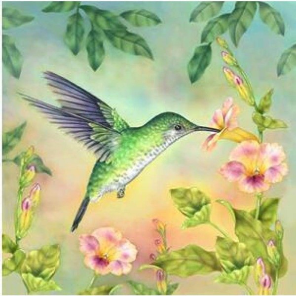 Volledige boor - 5D DIY Diamond Painting Kits Aquarel Love Bird Flowers