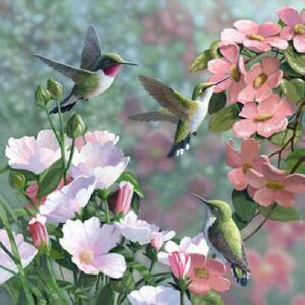 Volledige boor - 5D DIY Diamond Painting Kits Love Birds Flowers