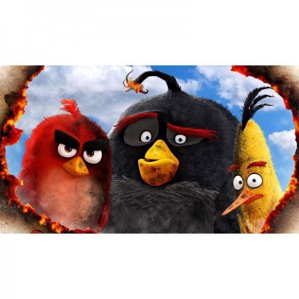 Angry Birds - Diamant schilderij vol boor