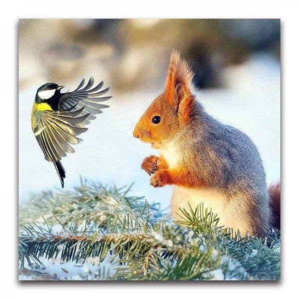 Volledige boor - 5D DIY Diamond Painting Kits Winter Cute Squirrel & Bird