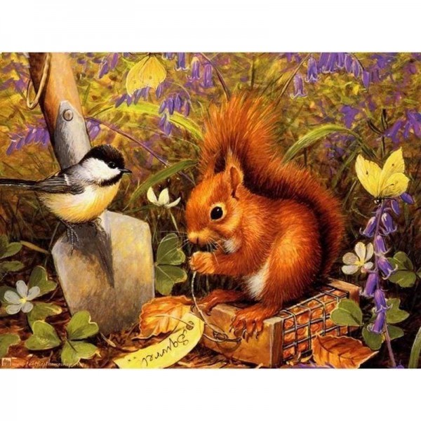 Volledige boor - 5D DIY Diamond Painting Kits Garden Squirrel Bird