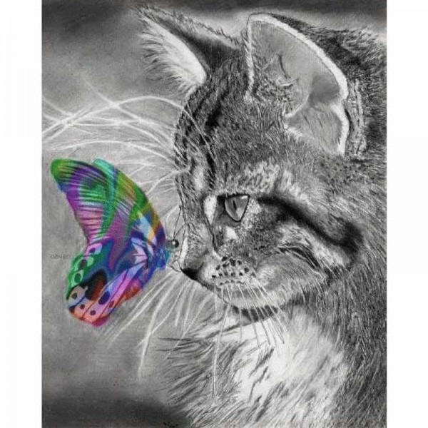 Volledige boor - 5D DIY Diamond Painting Kits Droomkat en kleurrijke vlinder