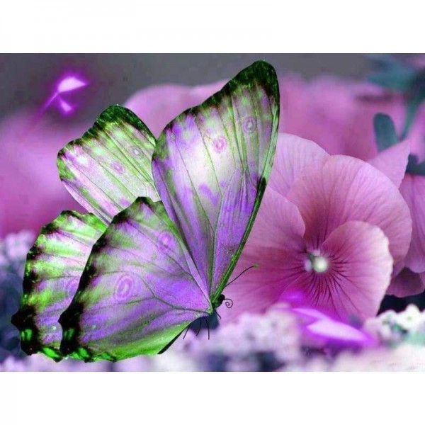 Volledige boor - 5D DIY Diamond Painting Kits Prachtige vlinderbloemen