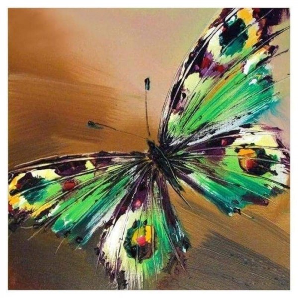 Volledige boor - 5D DIY Diamond Painting Kits Cartoon kleurrijke vlinder