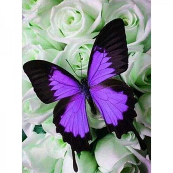 Volledige boor - 5D DIY Diamond Painting Kits Cartoon Butterfly Flower