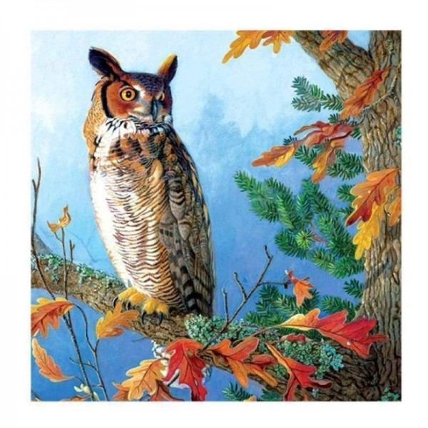 Volledige boor - 5D Diamond Painting Kits Cool Owl On The Branches
